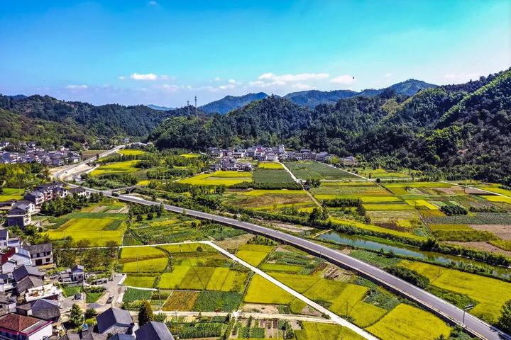 （身边的变化）浙江阡陌村路变通途