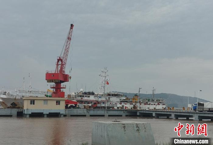 浙江舟山做好“一条鱼”服务 促海洋渔业再升级