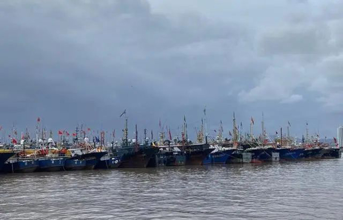 浙江舟山做好“一条鱼”服务 促海洋渔业再升级