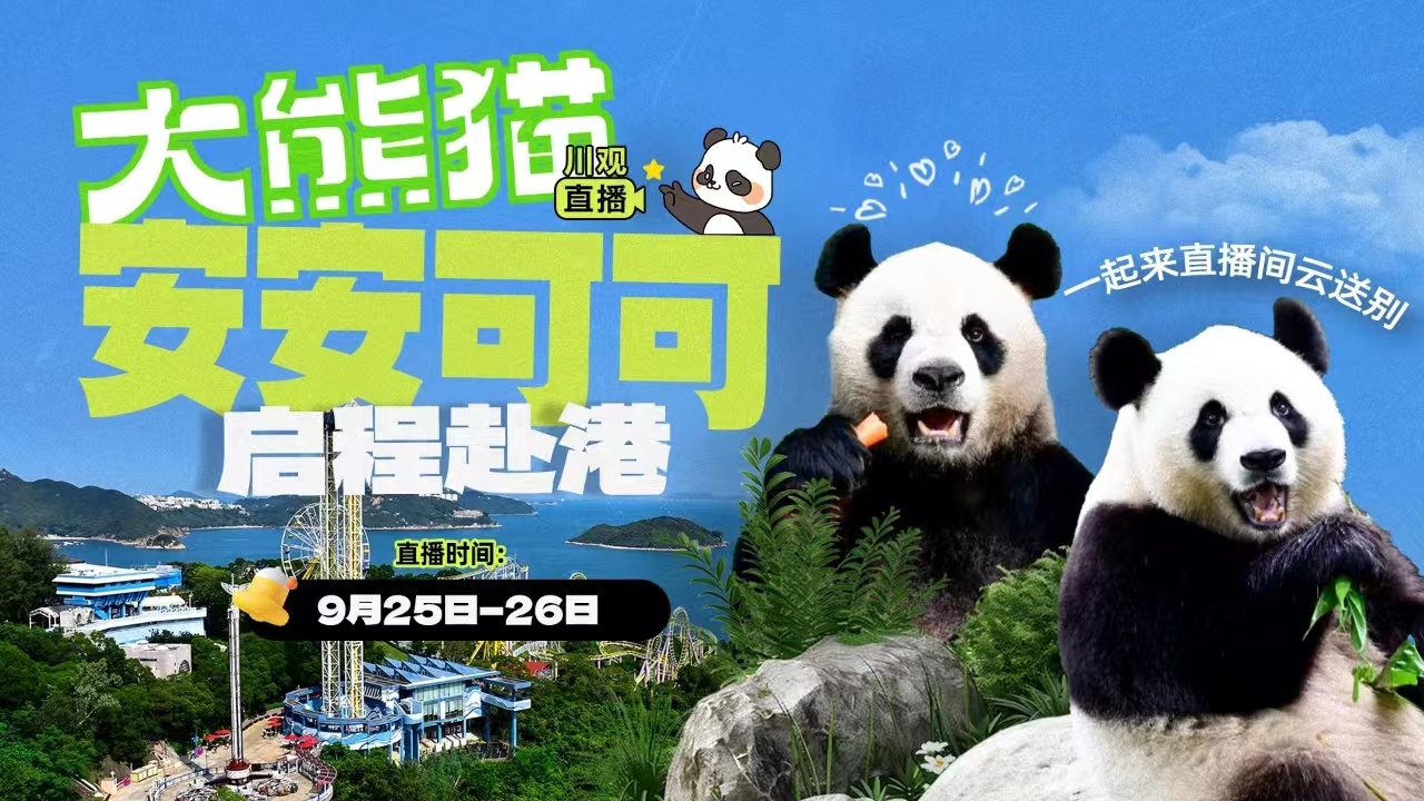 “安安”“可可”抵达香港