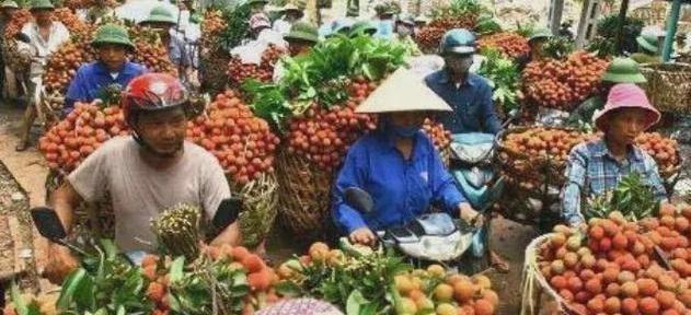 欠债400万，中国“淘金客”在非洲“翻盘”