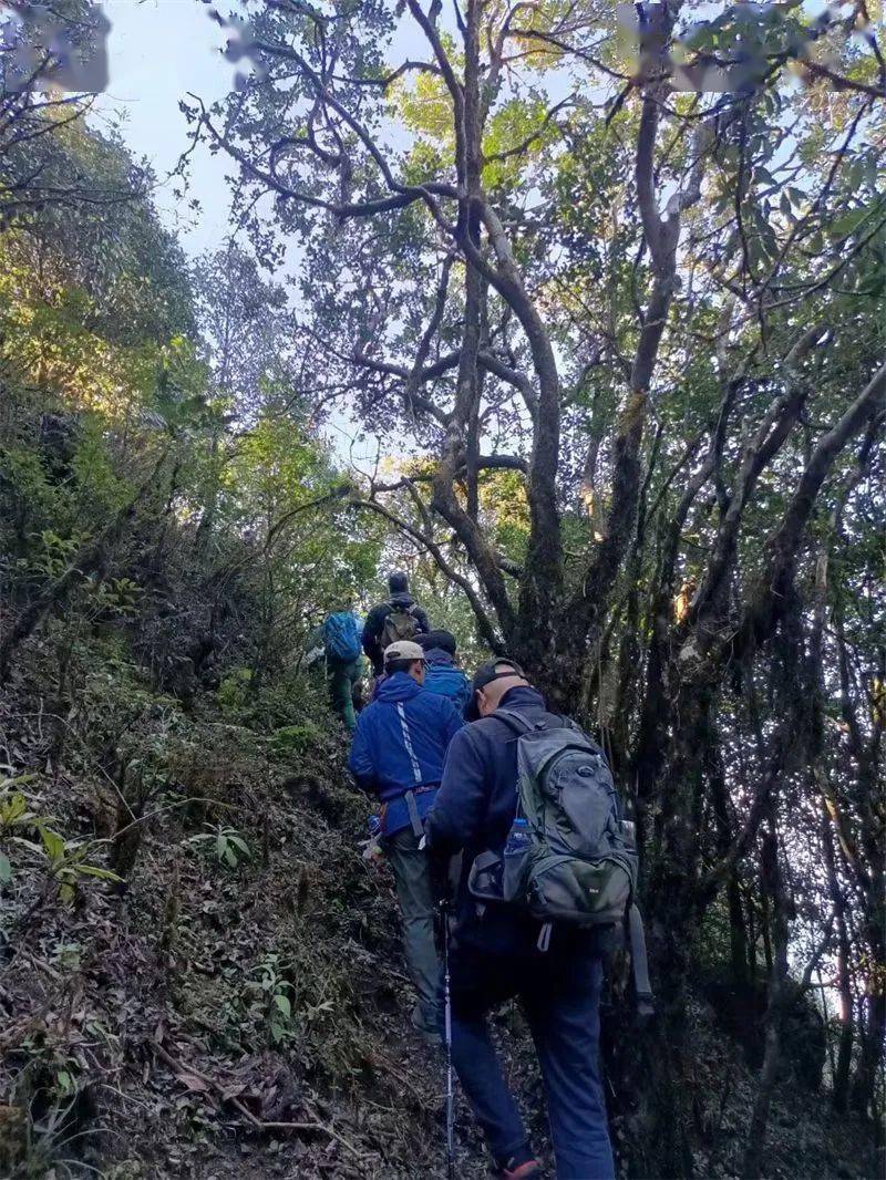 险境哀牢山：本地小伙22年不敢进深山，有人却开发出百公里徒步穿越路线