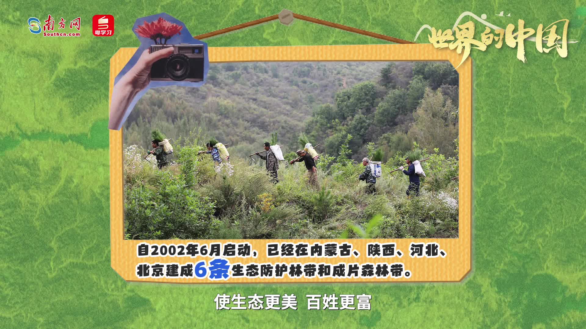 世界的中国｜荒漠复绿，点沙成“金”