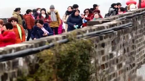 （文化新纪行）650余岁南京明城墙：墙外“开花”墙亦香