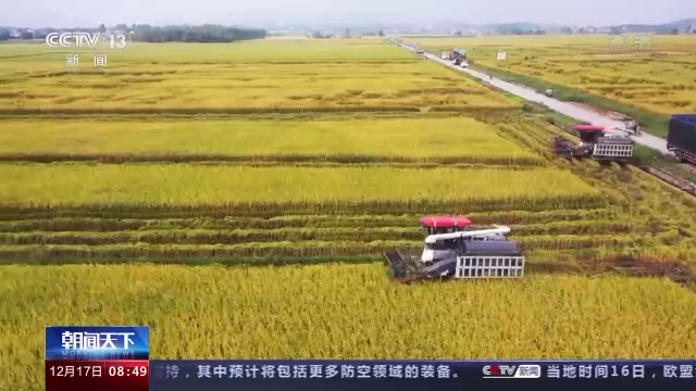 进度过四成！全国秋粮收获进入高峰期