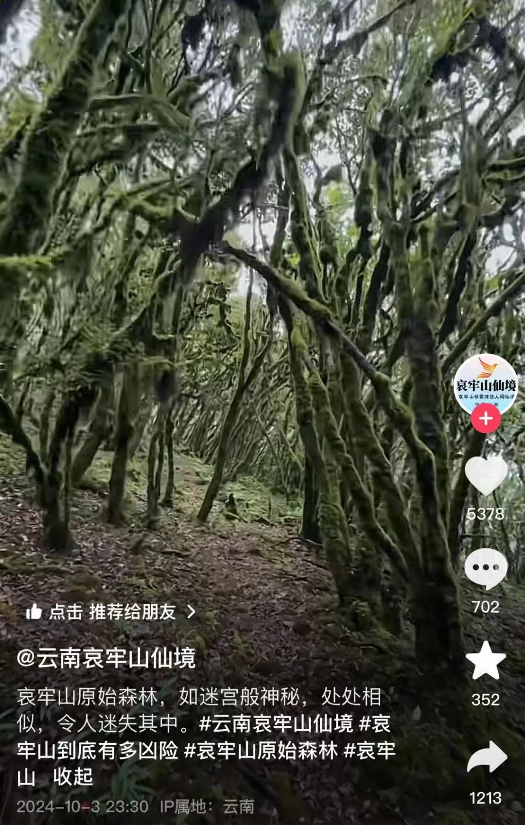 新平文旅回应哀牢山景区安全问题