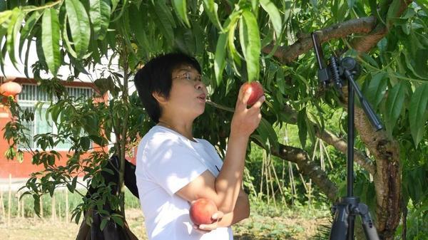 杨雪冬：共和国长青的“密码”