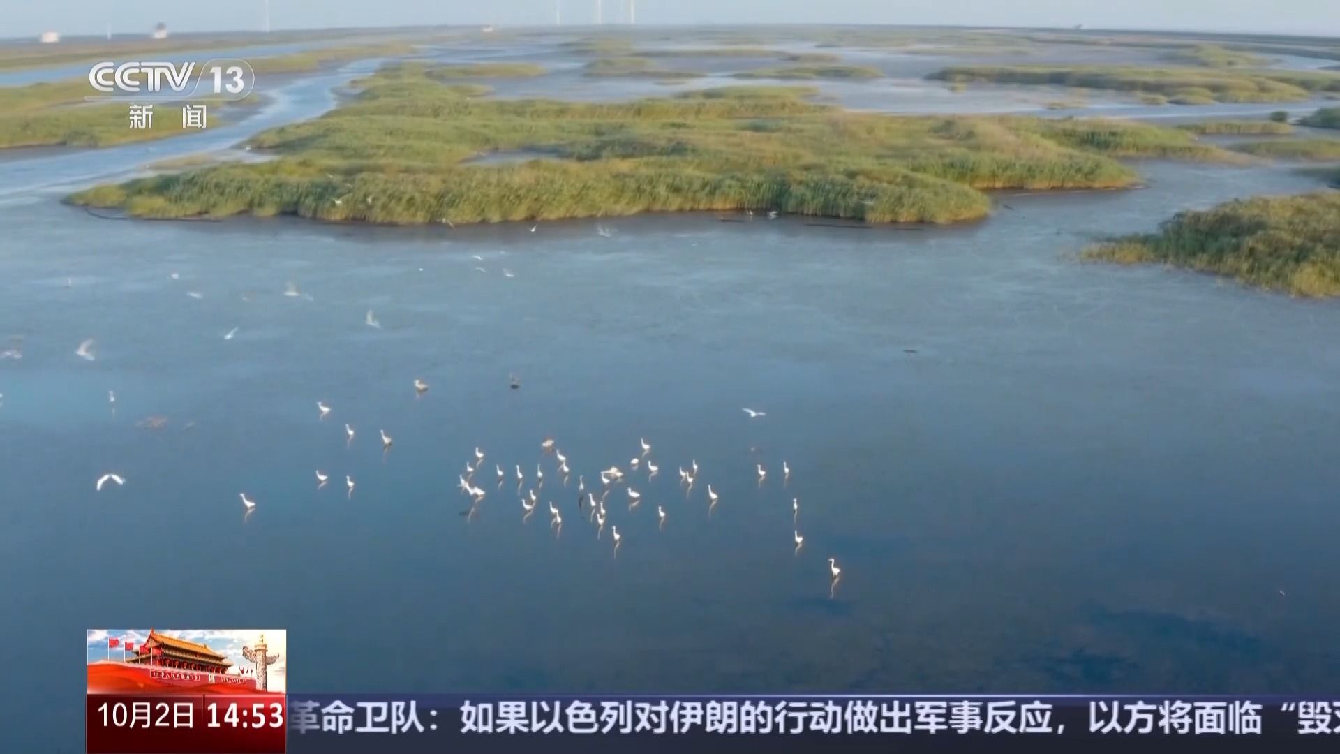 文化中国行丨捕鸟人→护鸟人 他用非遗鸟哨守护东滩