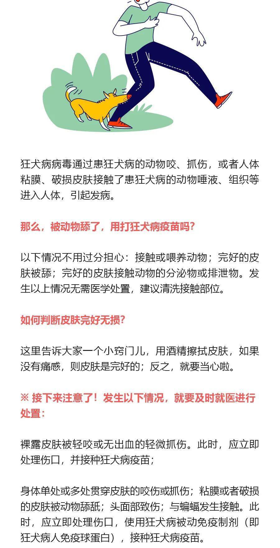 预防狂犬病，别被狗咬就够了吗 - 世界狂犬病日