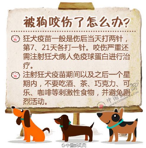预防狂犬病，别被狗咬就够了吗 - 世界狂犬病日