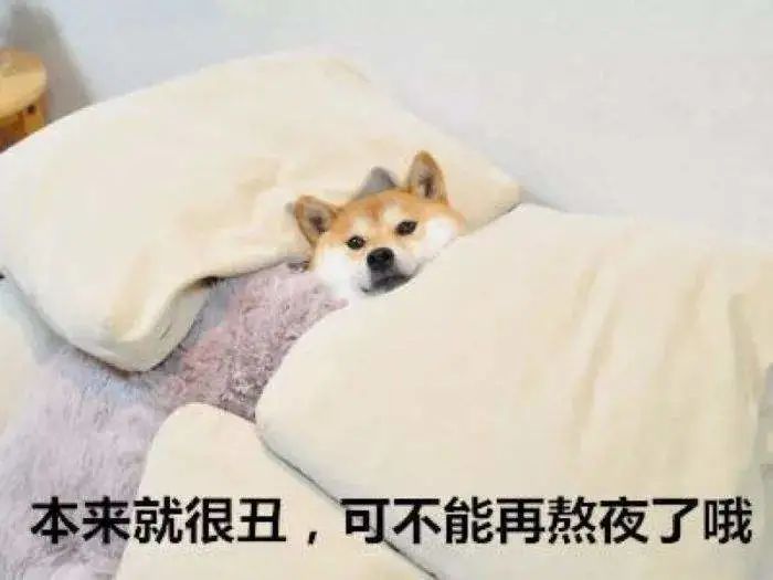 又熬夜了，下次还敢
