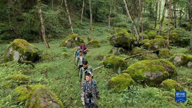 （中国新貌）世界地质公园里的森林居民：与林海同转型、共成长