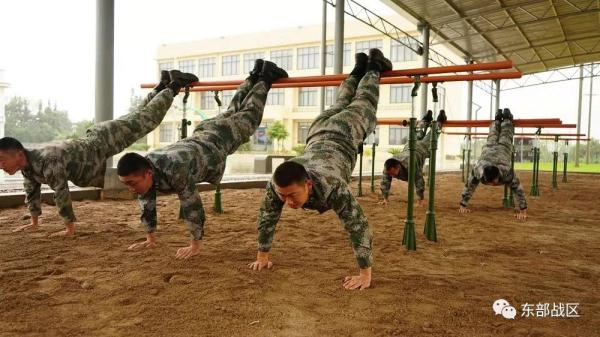 训练资源共享推动协同训练 训练资源共享推动协同训练