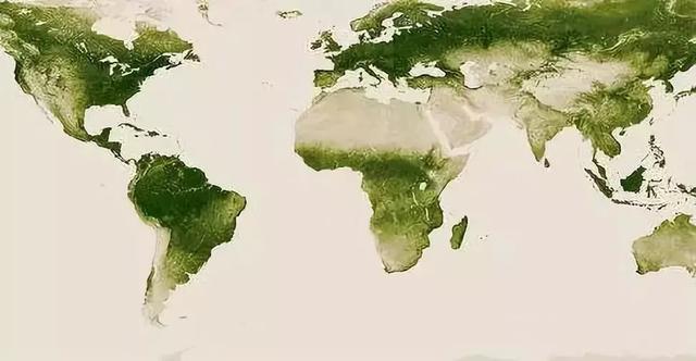 全球约25%新增绿化面积，由中国贡献！