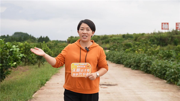 （乡村行·看振兴）重庆“头雁”归乡筑梦 深耕乡村“甜蜜”事业