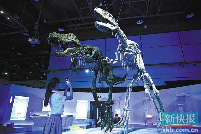 近百件珍贵恐龙展品亮相羊城 打造大湾区“恐龙之家”