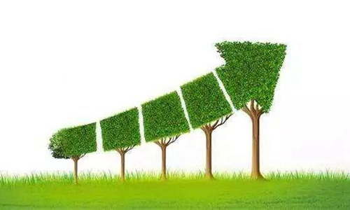全面绿色转型要稳中求进