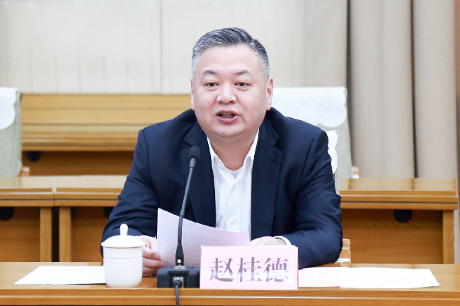 赵桂德强调创新驱动 助推民营经济高质量发展的重要性与策略分析