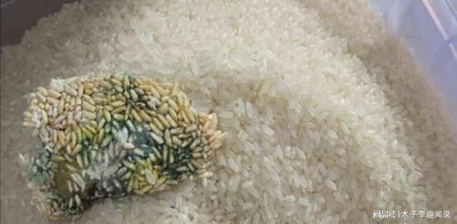 重庆酉阳粮食公司被指售卖过期大米给学校 高管涉嫌套取资金发不当工资引发关注