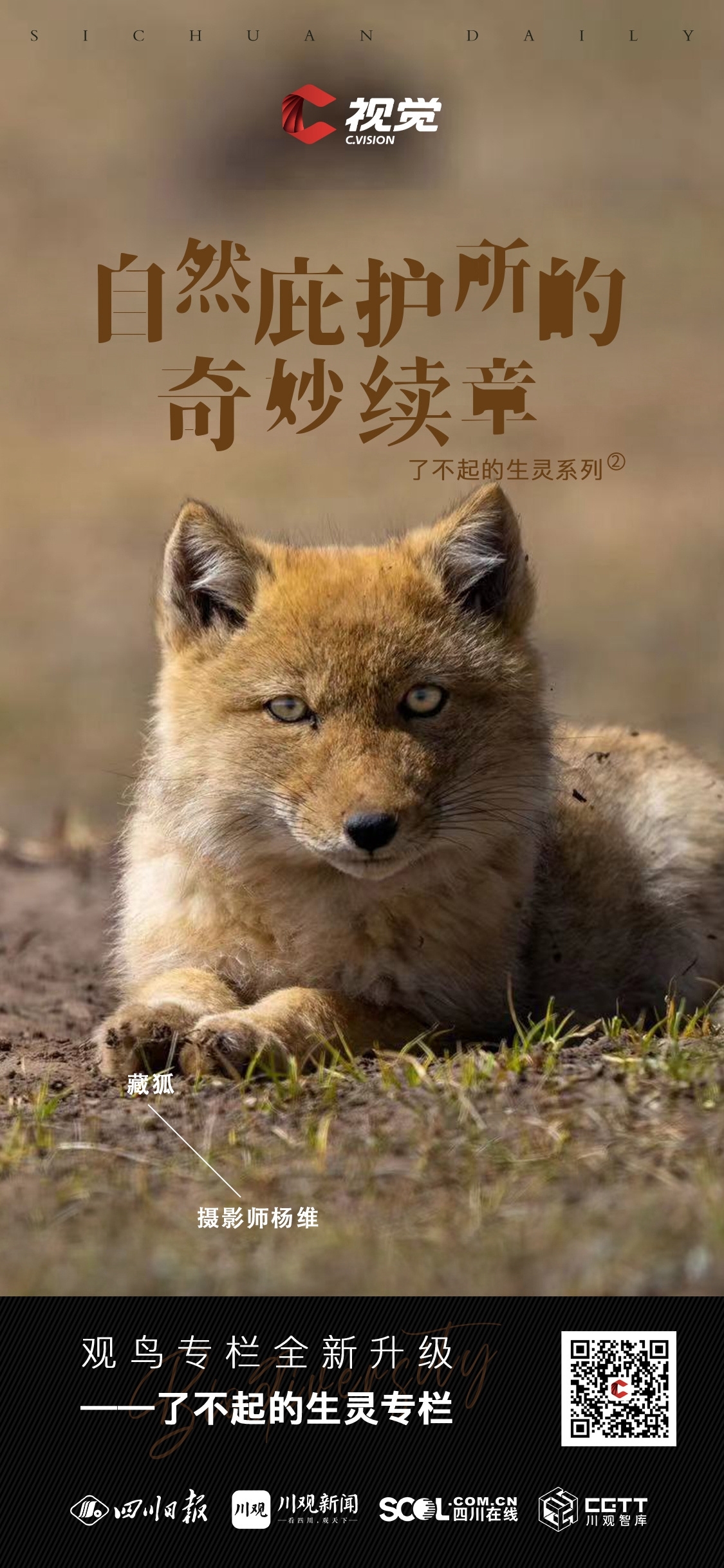 探索生命的奥秘与奇迹 万物生灵第五季全新启程带你领略自然之美