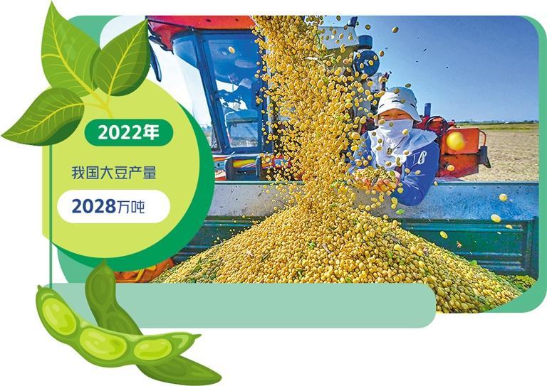 推动优质农业种子在产粮大县开花结果为丰收年奠定坚实基础