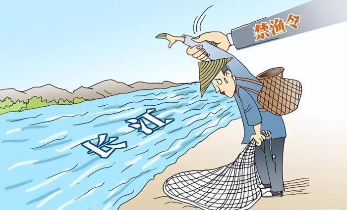 长江禁渔十年政策为何只对钓鱼爱好者放宽限制引发渔民不满探讨禁捕与钓鱼的矛盾之处