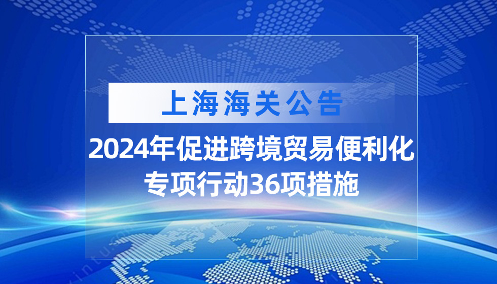 2024年跨境贸易便利化专项行动成效显著新举措引领全球贸易新趋势