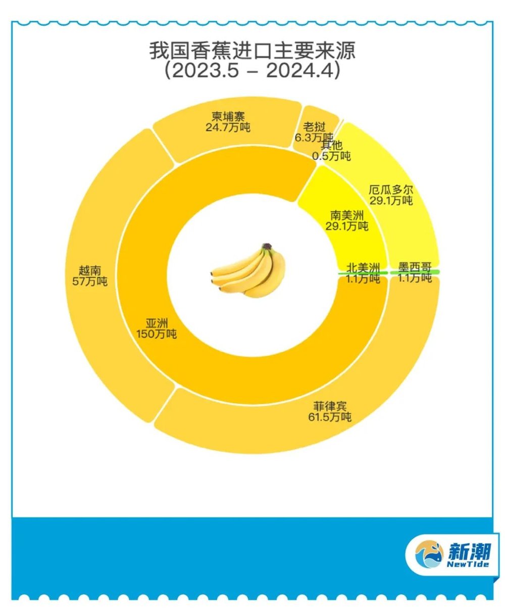 菲律宾香蕉市场面临困境 中国需求减弱影响出口收益亟待应对策略