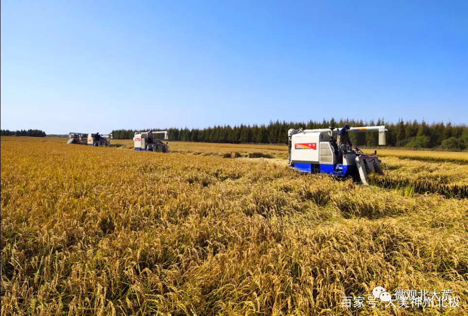 北大荒集团名山农场通过销售战略提升秋收效率助力丰收季节的全面到来