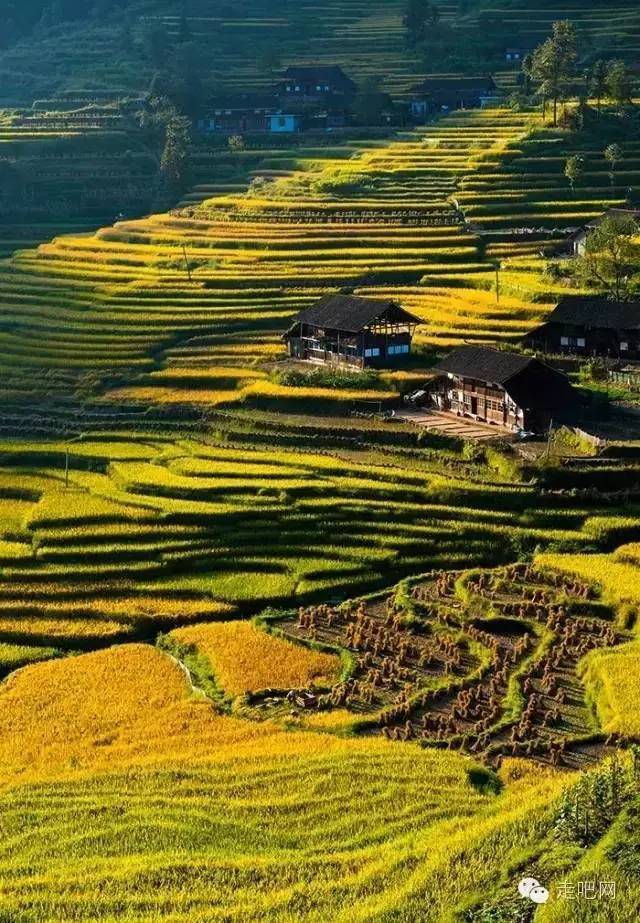金秋时节尽览中国壮美风光与丰收盛景的精彩旅程