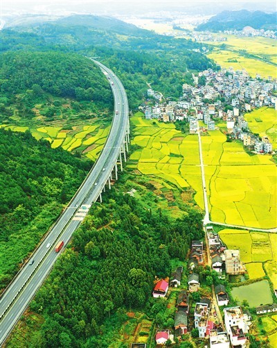 湖南永州展现农业与交通的和谐美景稻田与高速公路交融的乡村风貌