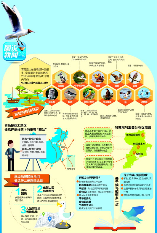 探索生物多样性奇迹 发掘新物种保护候鸟的多样化之路