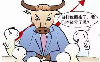 散户怎么在牛市中反而亏钱的深层原因揭秘与分析
