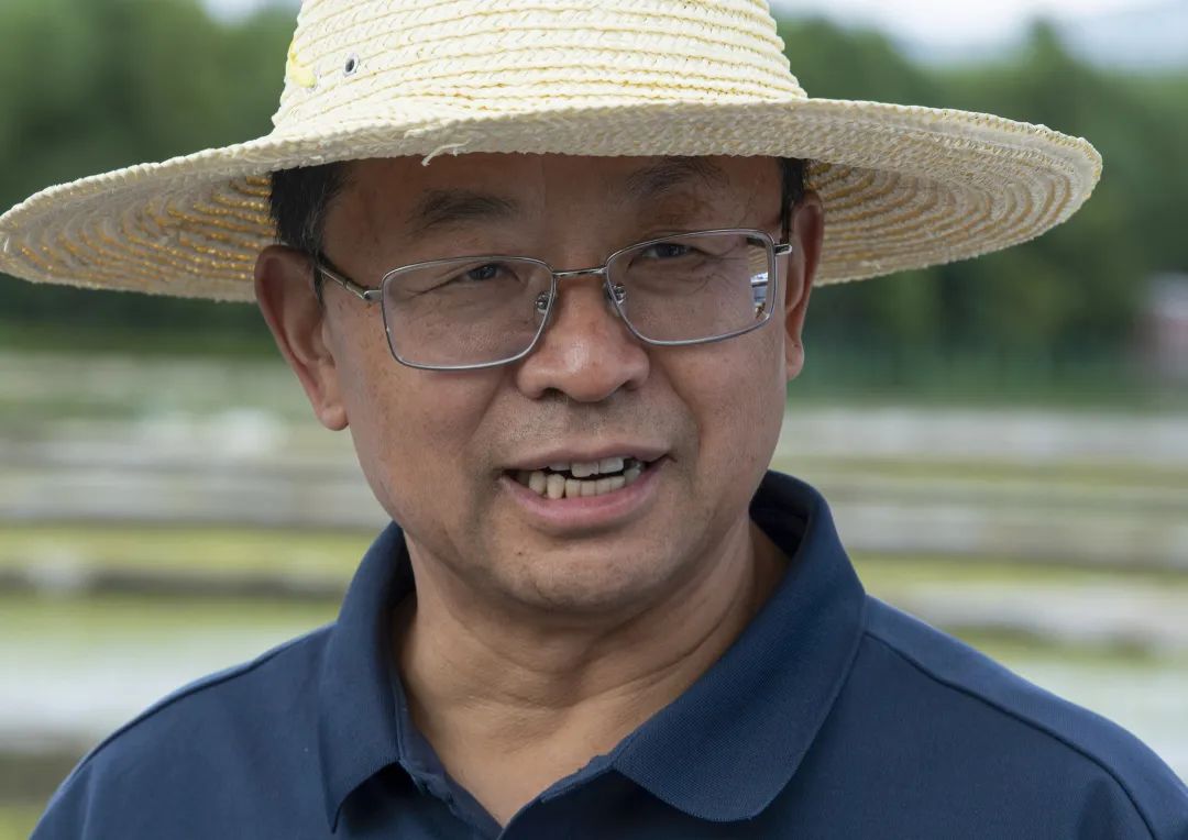 张福锁院士畅谈科技小院的非洲布局 如何推动当地发展与创新