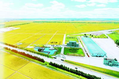 北大荒集团名山农场有限公司科技驱动田野创新提升引领农业现代化新篇章