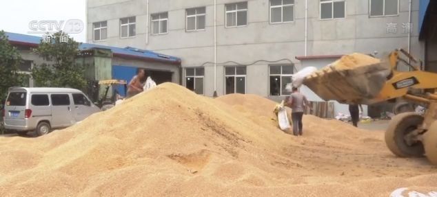 国企过期粮流入乡村小学曝光 涉事企业亏损超五十亿引发广泛关注与讨论