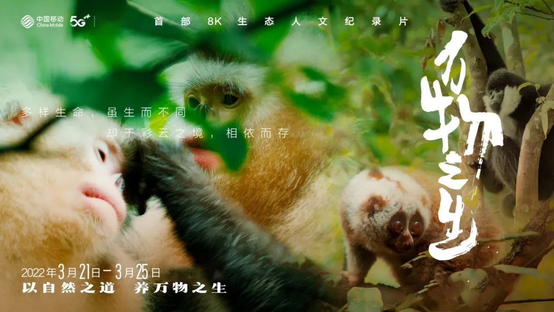 探索生命的奇迹与多样性 万物生灵第五季全新视角带你走进自然的奥秘