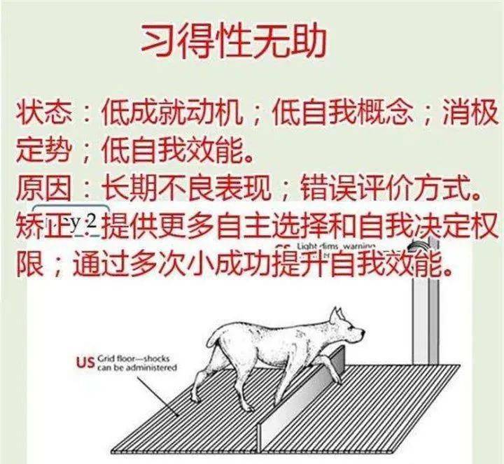 如何识别和克服习得性无助现象以重新焕发奋斗的动力和信心