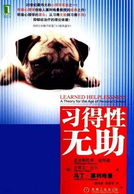如何识别和克服习得性无助现象以重新焕发奋斗的动力和信心