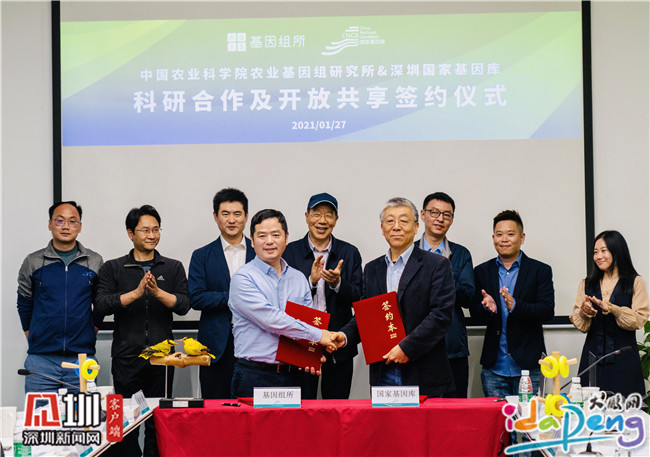 深圳应科院隆重开幕为新质生产力发展注入强劲动力迎接未来科技挑战
