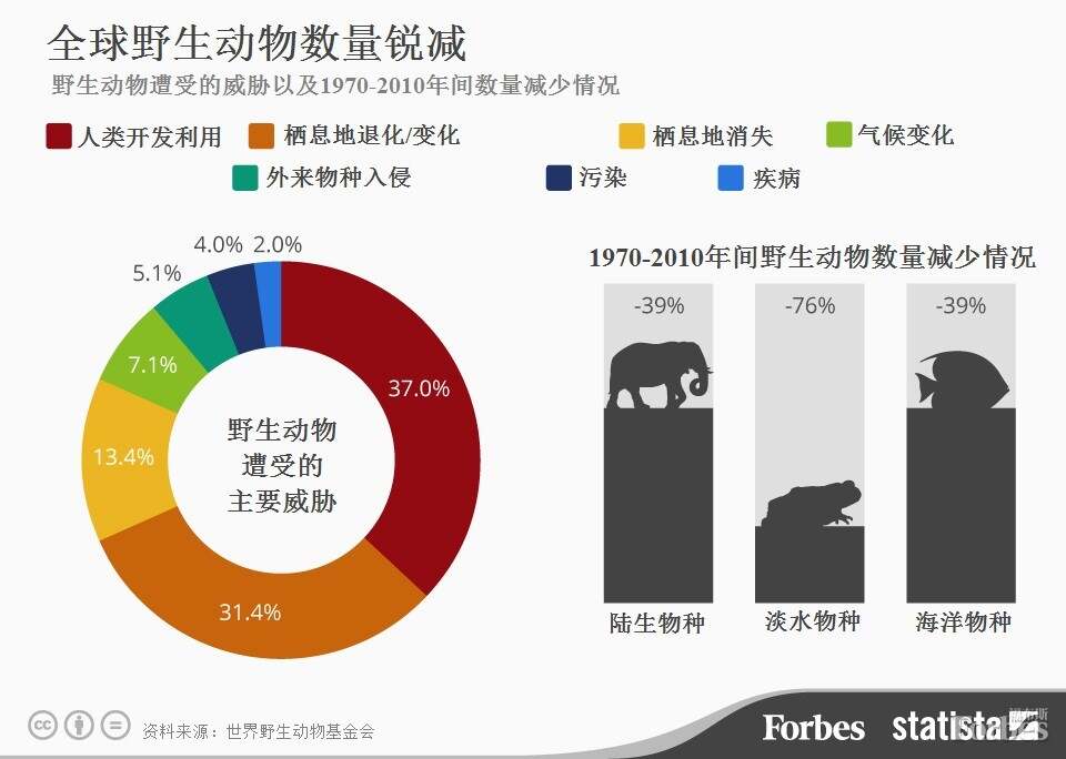 全球野生动物数量减少超七成 新版地球生命力报告引发深思与警觉