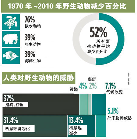 全球野生动物数量减少超七成 新版地球生命力报告引发深思与警觉