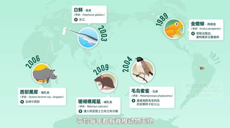 全球野生动物数量减少超七成 新版地球生命力报告引发深思与警觉