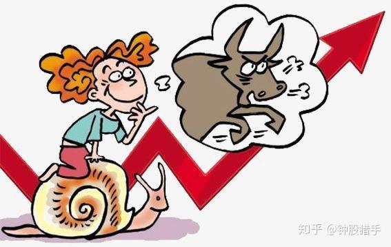 散户如何在牛市中频频遭遇亏损的深层原因剖析与解读