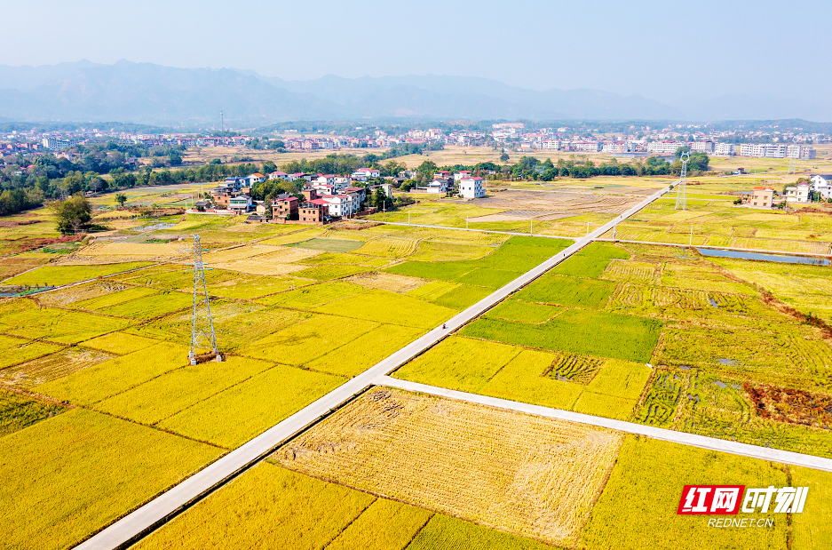 湖南永州稻田风景与高速公路交融村庄画卷展现乡村独特魅力