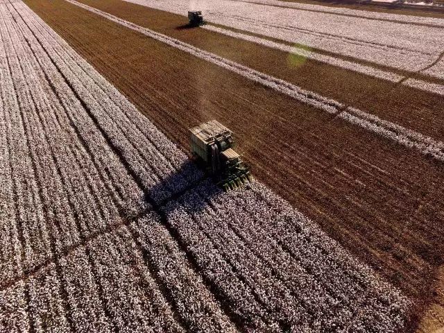 探索现代化种植理念 深入改革万亩棉田管理新模式