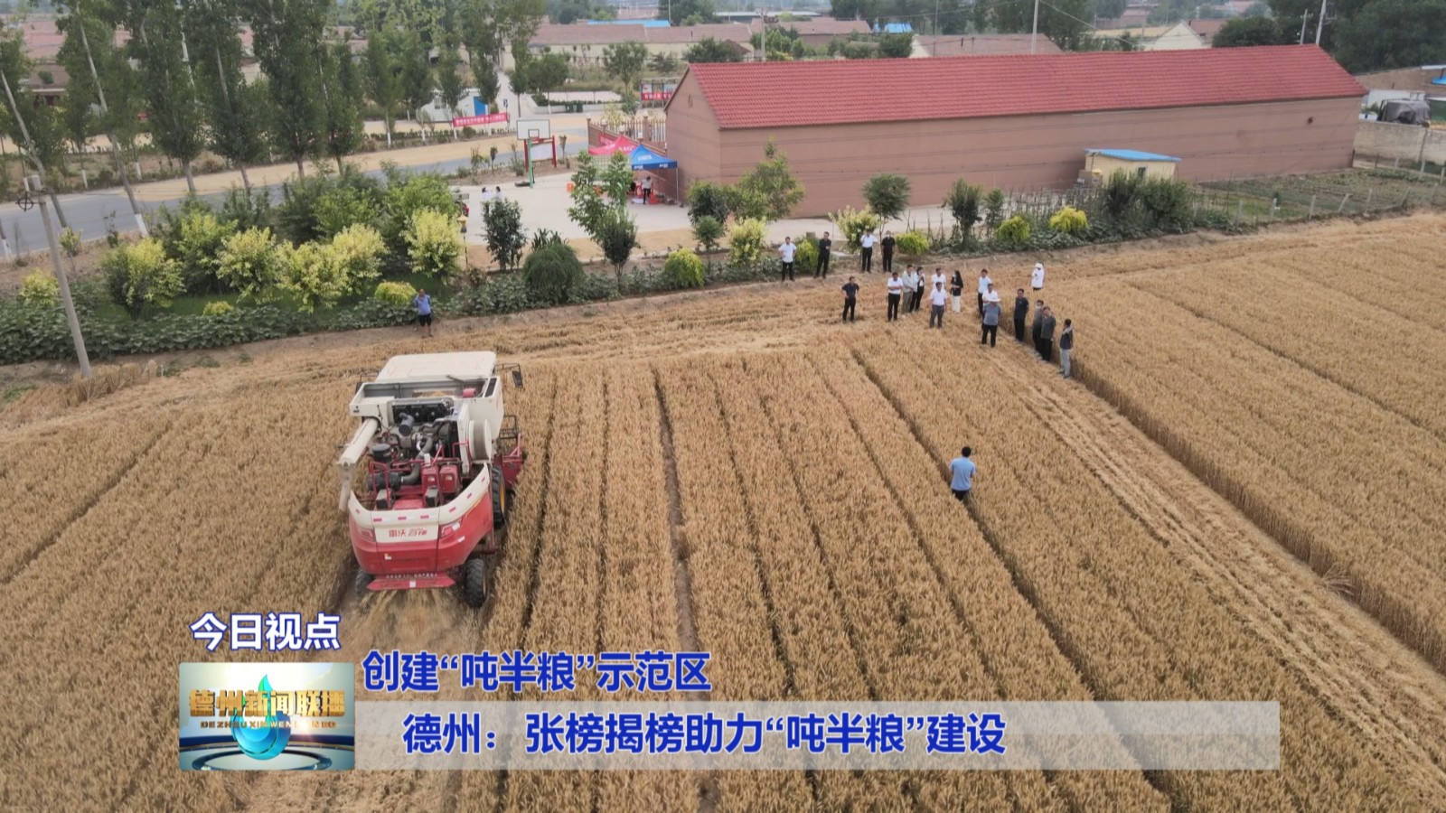 德州推行“吨半粮”产能建设 九成盐碱地建起“大粮仓”