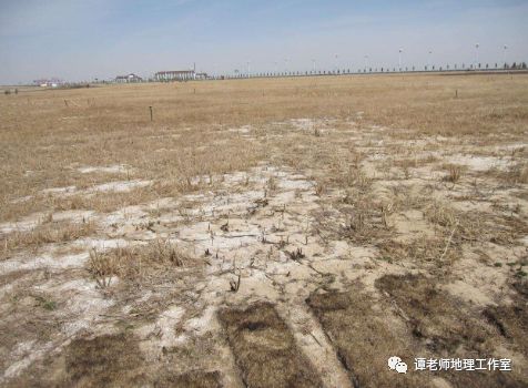 盐碱地形成原因有哪些？如何防治好？