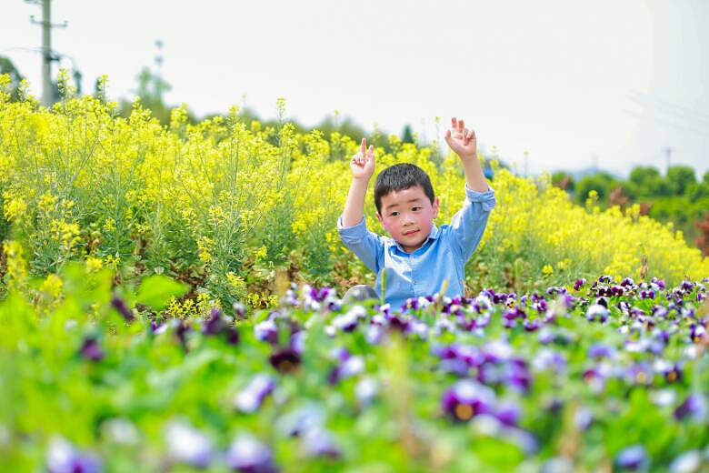 春光无限好 六位少年在花海中寻梦与成长的奇妙旅程