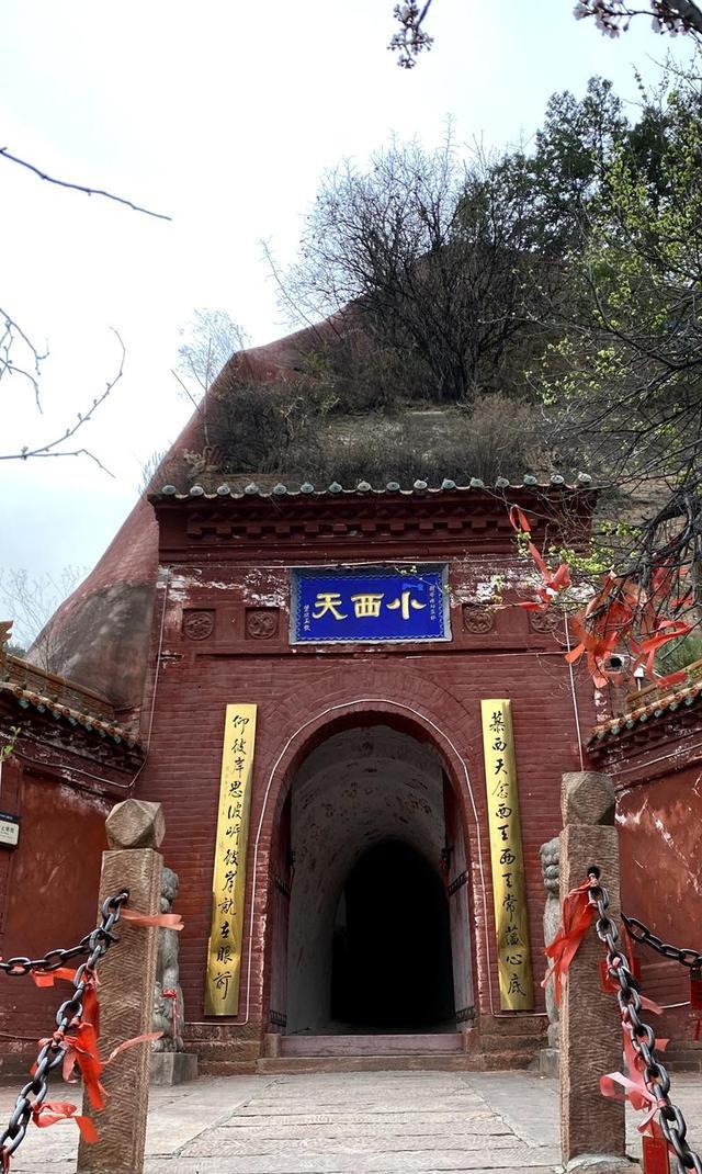 小西天引起争议登上热搜背后原因揭秘网友反应跌宕起伏究竟为何如此受关注